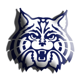University-of-Arizona-Wildcats-logo